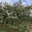 온곡마을 이미지