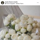 보다 | 대구웨딩촬영부케 꽃을보다 예약부터 후기까지