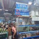 고흥상회 티스토리