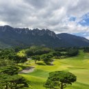 델피노숲 이미지