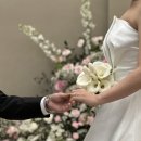 나이스부분정비 | 결혼식 당일 : 아이폰 스냅[무드어로즈] 대만족 후기(하트)
