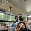 아루브