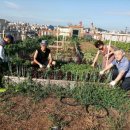 화곡4동주민센터 이미지