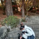 금강공원3 이미지