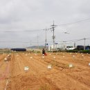 오곡2농장 이미지