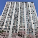 늘푸른공인중개사사무소 이미지