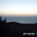 098. 20170306 제주3 이미지