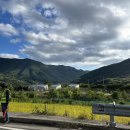 보현 별빛로 왕벚나무길 | 2024 영천보현산별빛축제 주차, 방문후기