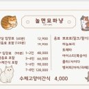 놀면묘하냥
