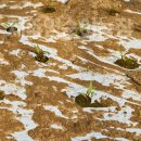 영순농장 이미지