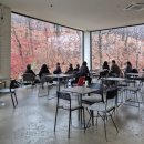둔전로 네이버블로그