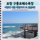 남파랑길 | 아직도 모르면 손해! 포항 구룡포 해수욕장 영일만 남파랑길 해상 데크로드 솔직후기