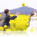 소소 이미지