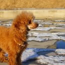 인계수정(아) 이미지