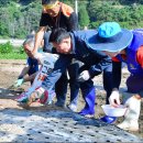 북하면행정복지센터 이미지