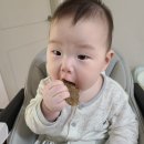 [만 8개월 1주차] 빨라지는 배밀이, 혼자 앉기 성공, 손가락 칫솔, 아빠손 콘센트 커버, 차일드스타...