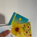 변미숙산부인과의원 이미지