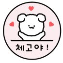 데이오브유 이미지