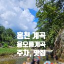 용오름산장 | 홍천 용오름 계곡 물놀이 주차꿀팁 용오름 산장식당 닭백숙 닭볶음탕