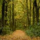 내마음은호수요 이미지