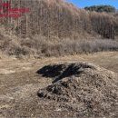 양구초 월명분교장 이미지