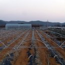 내고2농로 이미지