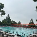 버스정류장 05-322 | 그랜드 하얏트 서울 호캉스 추천! 5성급 호텔 스위트룸 라운지 내돈내산 후기