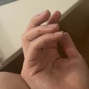 7월 월말정산, 블로그 나 돌아왔어 part 2