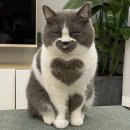 빵공원 이미지