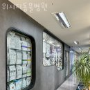 위시티 동물병원 이미지