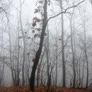 버스정류장 07-428 이미지