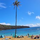 구명카써비스 이미지