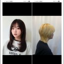 화이트홀헤어
