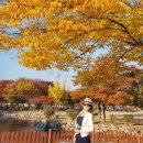 주식회사 라한호텔(경주) | 국내 숙소 단풍여행지 놀곳 시기 추천 : 경주 호텔 라한 셀렉트 후기