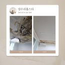 수내3동 소로6 | 성남 천장 석고보드 교체 아파트 윗집 누수로 보수 작업 후기
