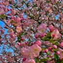 푸른초장 이미지