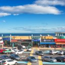 동해바다 2 이미지