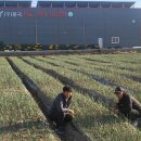 (주)풍국 이미지