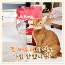 웰컴펠리스 | 네이버 펫 바우처로 고양이 벤토나이트 펠리스 샌드 저렴하게 구입하기!