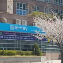 법률사무소우정