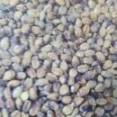 다솜농장 이미지