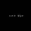She's# 이미지
