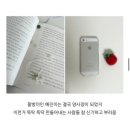 김승주미용실 | 교수님이 오답도 답이란걸 알았으면