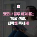 벤처창업진흥협동조합 네이버블로그