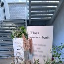 계약의신부동산중개 | [세인트 메리스] 강남 하우스 웨딩 2027년 1-2월 상담 &amp; 견적 공유