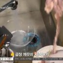 대가곱창 이미지