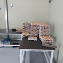 전북계란영농조합 이미지