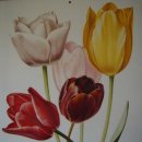 보태니컬 아트 이미지