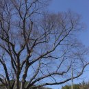 외동마을회관 이미지