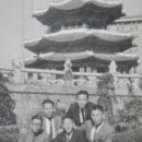 옛날의금잔디
